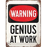 Nostalgic-Art Genius at Work Placa Decorativa- Metal- Multicolor- 30 x 40 cm